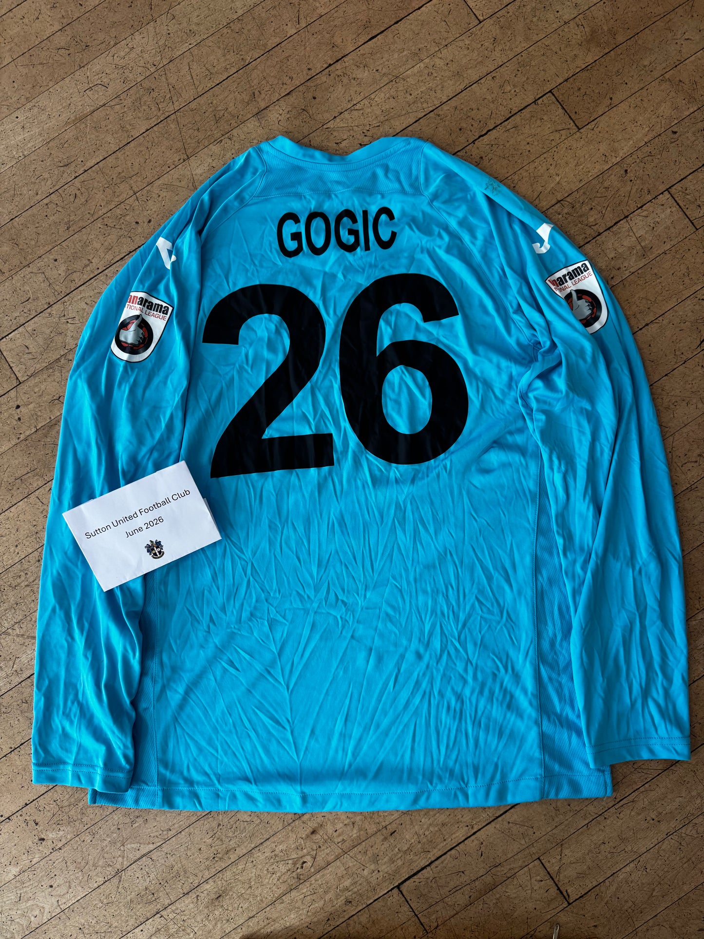 Aleksander Gogic Blue GK Shirt 2016-2017