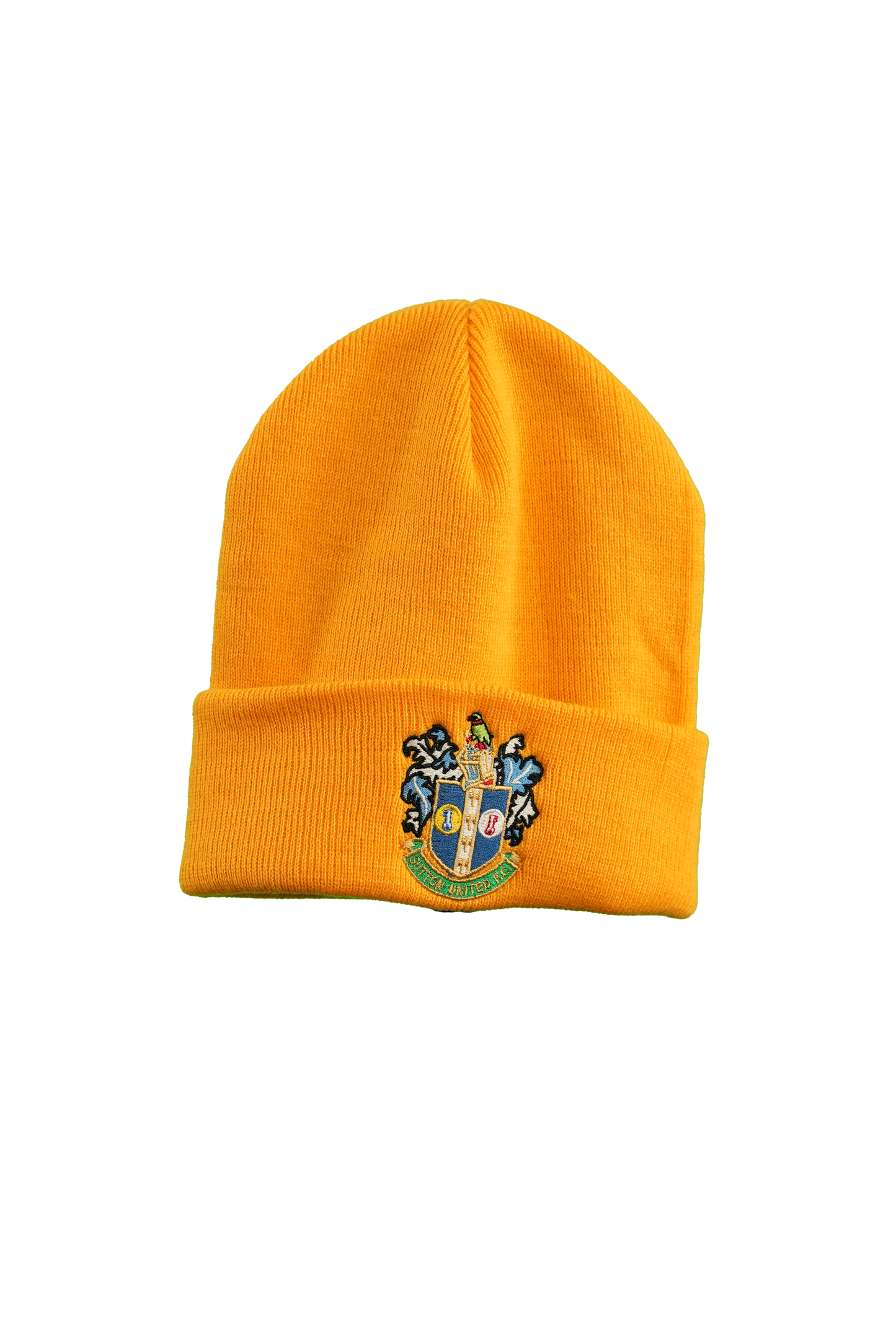 Beanie Hat Yellow